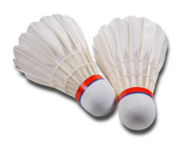 25296878-badminton-ball-two